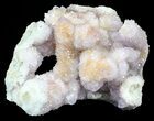 Cactus Quartz (Amethyst) Cluster - Large Crystals #62964-1